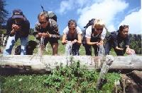 Ausztria - Karintia - Nassfeld - Aparthotel Forellenhof Waldner
