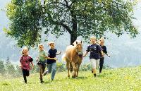 Ausztria -Felső Ausztria - Salzkammergut - St. Georgen-Strass im Attergau (ATTERSEE) - Rosslwirt Ferienhof