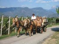 Ausztria - Felső Ausztria - Salzkammergut - St. Georgen-Strass im Attergau (ATTERSEE) - Rosslwirt Ferienhof