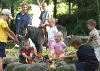 Ausztria - Stájerország - Kreischberg-Murau - Ferienhotel Kreischberg