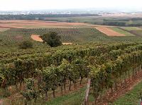 Burgenland