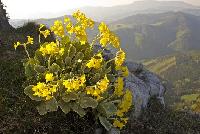Ausztria - Stájerország - St. Kathrein am Offenegg - Hotel-Gasthof Schwaiger
