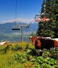 Flachau-Wagrain-Zauchensee - (Sportwelt)
