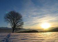Ausztria - Stájerország - Grebenzen - St. Lambrecht - Hotel Landgasthof Ledererwirt